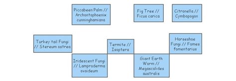 Bio Q Food Web Insight Maker