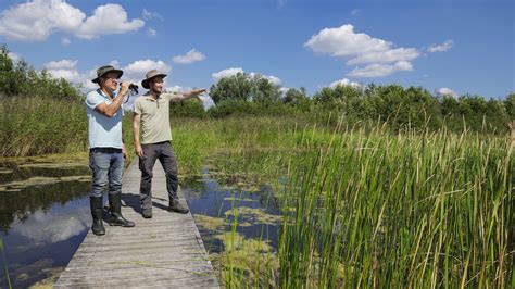 De Groene Grens Een explosie van orchideeën in een uniek stukje