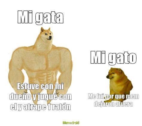 Swole Doge Vs Cheems Meme Subido Por Flass2008d Memedroid