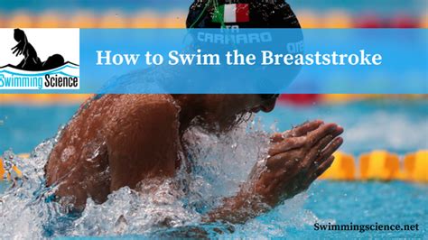 How To Swim The Breaststroke Swimming Science