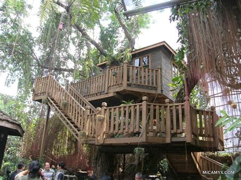 travel photo   week  tree house manila philippines