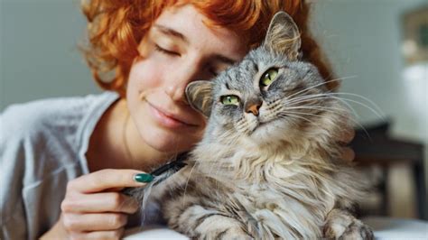 10 Reasons Why Your Cat Head Bumps You