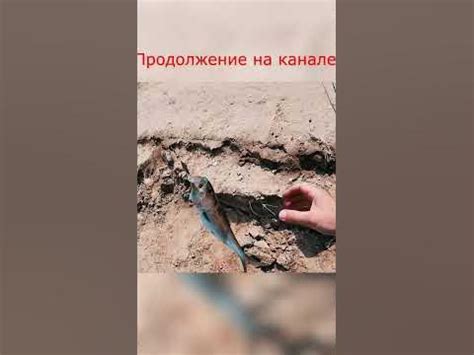 Рыбалка на селедку//Рыбалка на спиннинг - YouTube