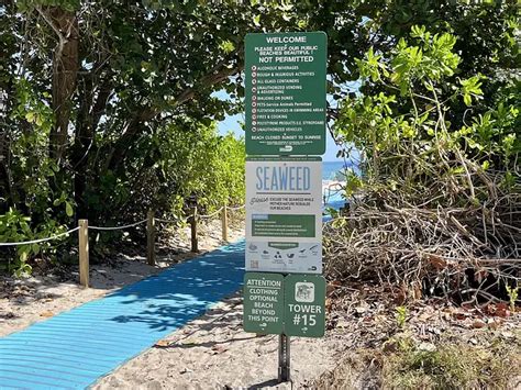 Haulover Beach Your Go To Guide To Miamis Famous Gay Nude Beach Two Gay Expats