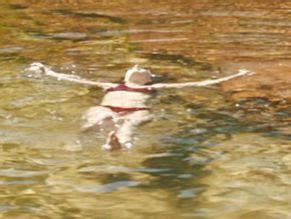 The Royal Hotel Nude Scenes Aznude