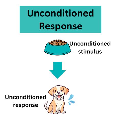 Unconditioned Stimulus: Definition and Examples