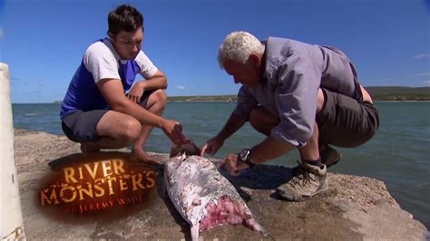 River Monsters Bull Shark Brisbane River : Massive bull shark catch