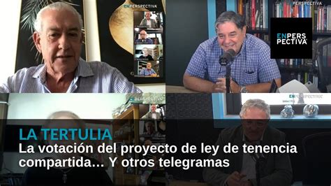 La votación del proyecto de ley de tenencia compartida Y otros