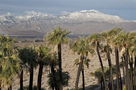 Coachella Valley Preserve & Thousand Palms Oasis Preserve - Great Runs