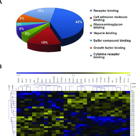 Functional classification of differentially expressed genes and ...