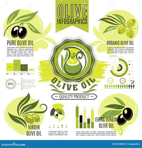 Olive Oil Product Vectro Infographics Elements Stock Vector