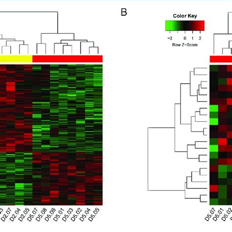 Heatmap Of Differentially Expressed Mrna Mrnas Differentially Download Scientific Diagram