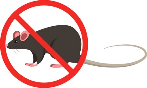 La Lutte Contre Les Rats Une Mobilisation De Tous