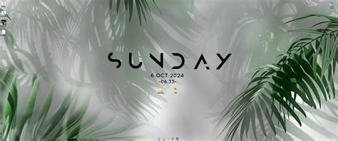 Живые обои Пальмы с зелёной листвой скачать на VSThemes.org