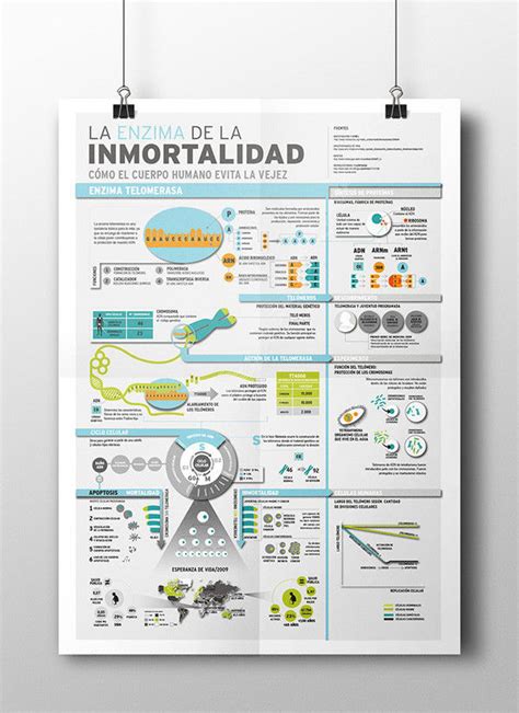 Tipos De Infografia Mind Map Nbkomputer