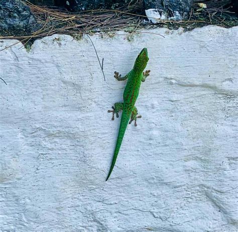 Teach English to locals | Volunteer in Madagascar 2025