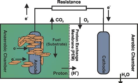 Figure 2 From Microbial Fuel Cells An Overview Of Current Technology Semantic Scholar