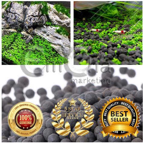Ista Aqua Soil 1kg (AS1) Repacked Premium Quality from Japan Aquasoil ...