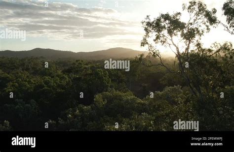 central qld stock  footage hd   video clips alamy