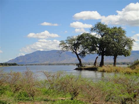 Zambia Landscape