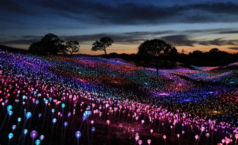 bruce munro