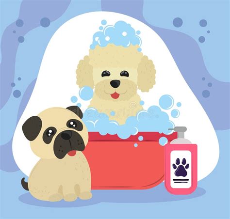 Perros bañándose ilustración del vector Ilustración de cuidado 227624384