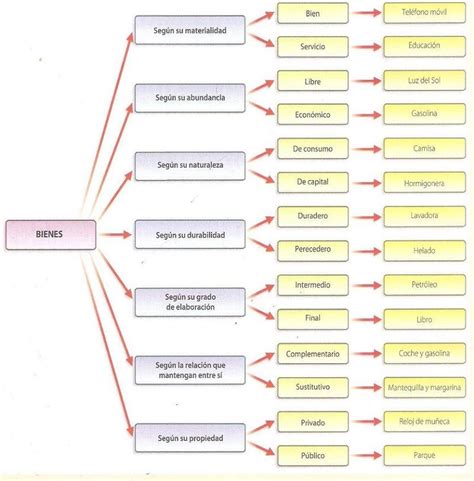 Clasificación De Los Bienes Tipos Características Y Cuáles Son