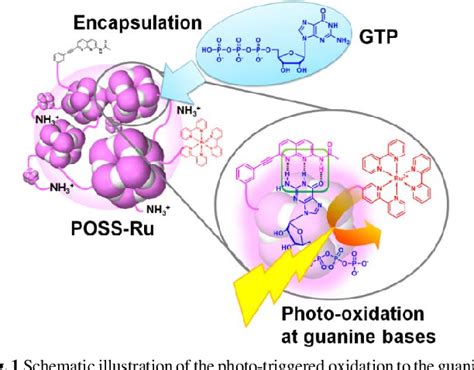 Figure 1 From Light Driven Artificial Enzymes For Selective Oxidation