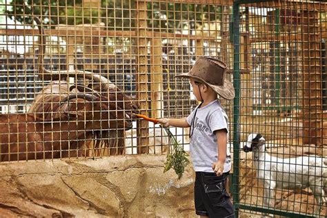 Dubai Zoo, Dubai