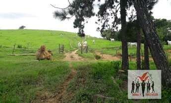 Fazenda Venda No Bairro Centro Piumhi Mg Mgf Im Veis Mgf Im Veis