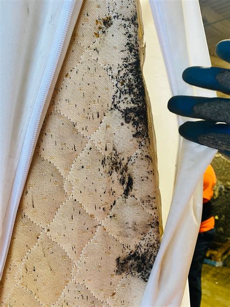 Mattress Recycling | HandUp Mattress Resale & Recycling