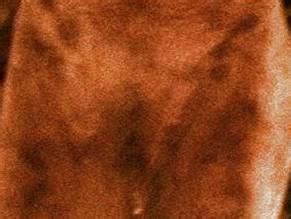 The Lords Of Salem Nude Scenes Aznude