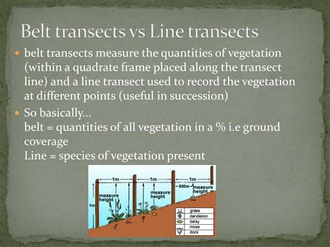 PPT - Sampling Techniques PowerPoint Presentation, free download - ID