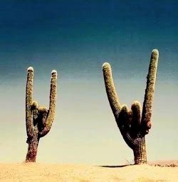 Naked Music Score On Tumblr