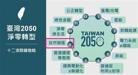 「自然碳匯」 臺灣 2050 淨零轉型關鍵戰略行動 凌聚共讀圈