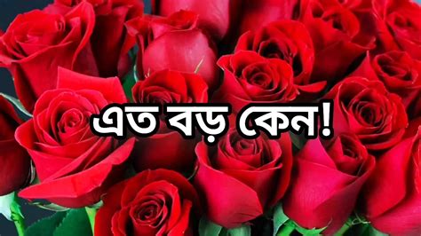 Bangla Choto Golpo Beautiful Mature Saree Chachi Cheating Hasband Full Story In Bangla Audio