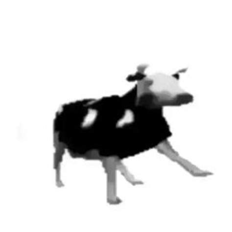 Stream Meme Da Vaca By Randoomm Listen Online For Free On Soundcloud