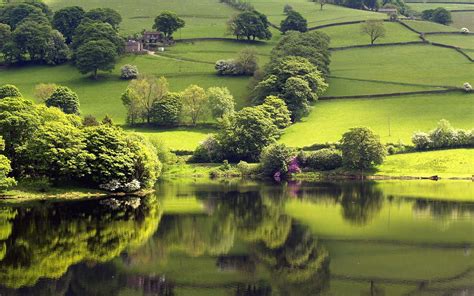 beautiful nature wallpapers  wallpapers