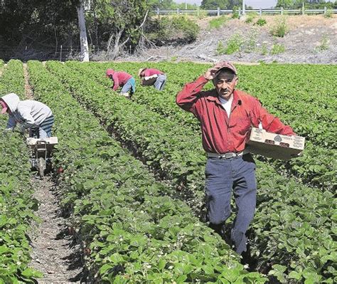 Minagricultura Reactivar Jornadas De Negocio De Agricultura Por