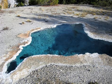 Yellowstone Hot Springs Extremophiles