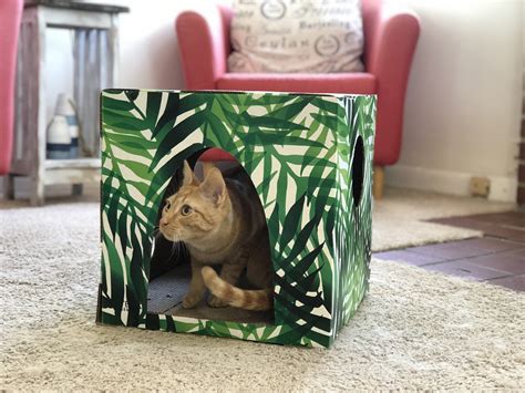 Cardboard Cat Playhouse