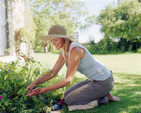 Community Engagement Gardening In The Front Yard Huffpost