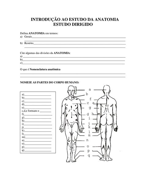 SOLUTION Roteiro Te Rico Pr Tico Introdu O Anatomia Humana Studypool