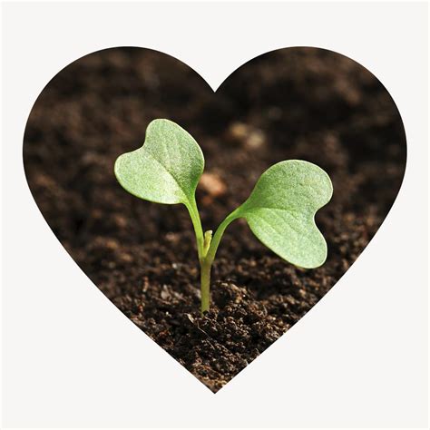 Sprout Heart Shape Badge Environment Free Photo Rawpixel