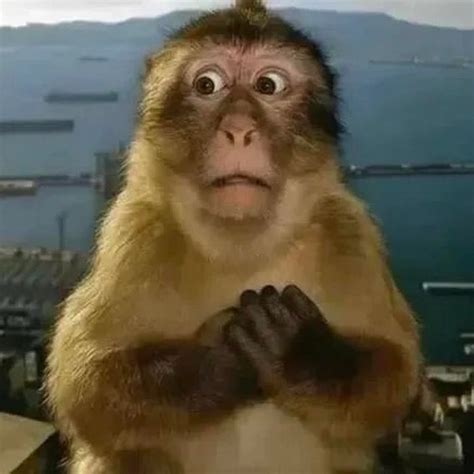 tuyen chon  anh dau  day nay meme hai huoc nhat mang