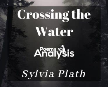 Analysis of Tulips by Sylvia Plath | Poem Analysis