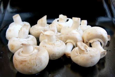 Fresh Whole Button Mushrooms Stock Image Image Of Fresh Uncut 8246515