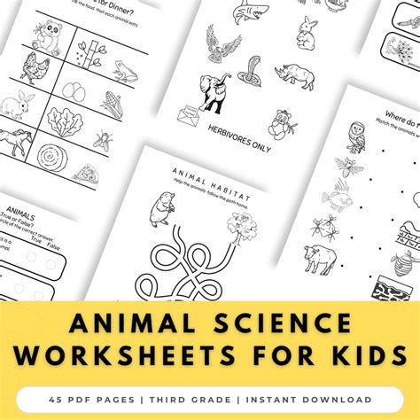Biology Worksheets For 3rd Grade Activities