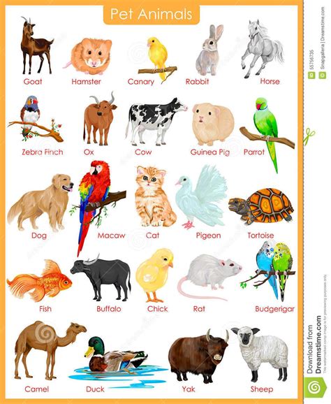 Animals name list in english pdf | Animal Big