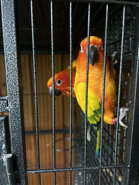 Reviewers explain why the blackies menu ri is a local favorite 14